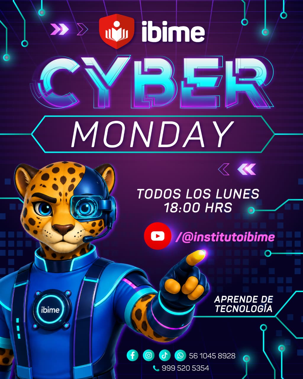 cybermonday ibime