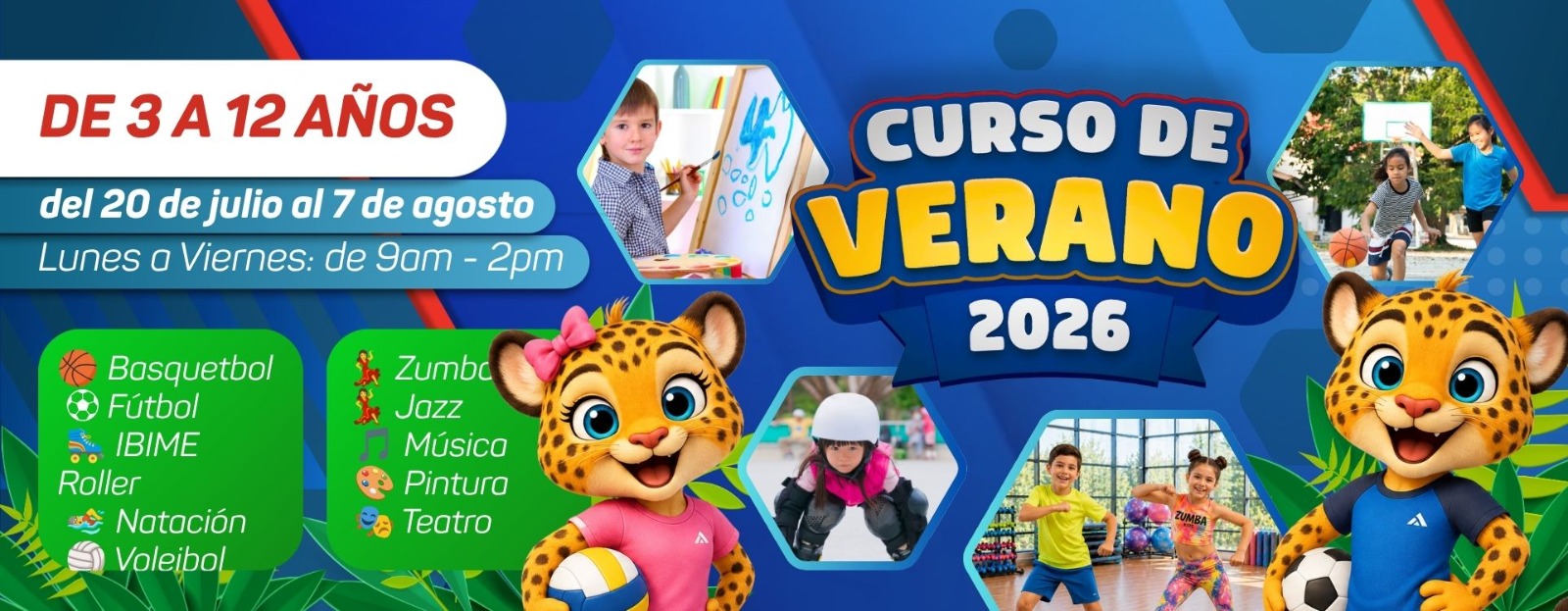 Curso de Verano 2026