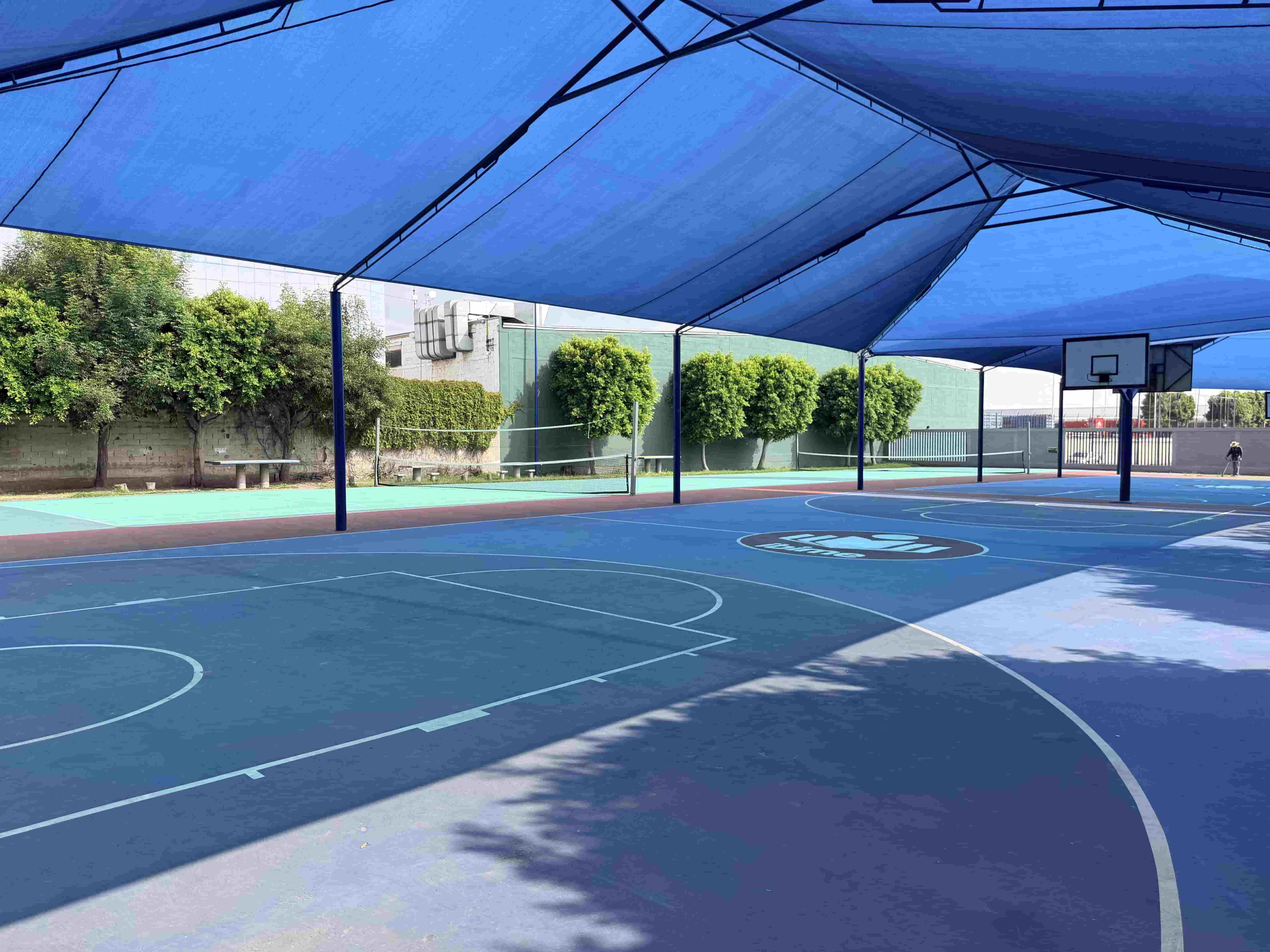 ibime_coacalcosb_canchas